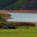 Let’s clean-up Drin River that join us in Kukes, Gjakova, Diber, Istog