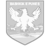 Bashkia Puke bz