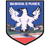 Bashkia Puke